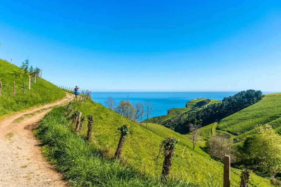 Cote de zumaia chemin tranquille entre randonnée et océan - Adobe Stock par Unai - ©Osma Stratégie 2026